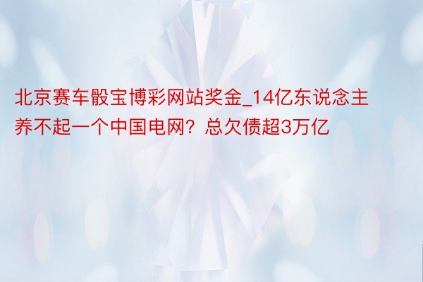 北京赛车骰宝博彩网站奖金_14亿东说念主养不起一个中国电网？总欠债超3万亿