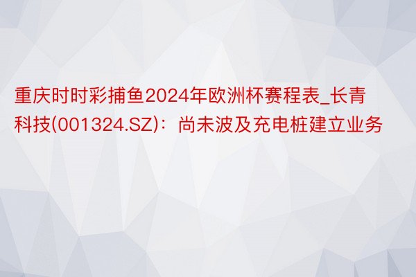 重庆时时彩捕鱼2024年欧洲杯赛程表_长青科技(001324.SZ)：尚未波及充电桩建立业务