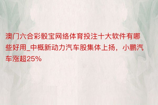 澳门六合彩骰宝网络体育投注十大软件有哪些好用_中概新动力汽车股集体上扬，小鹏汽车涨超25%