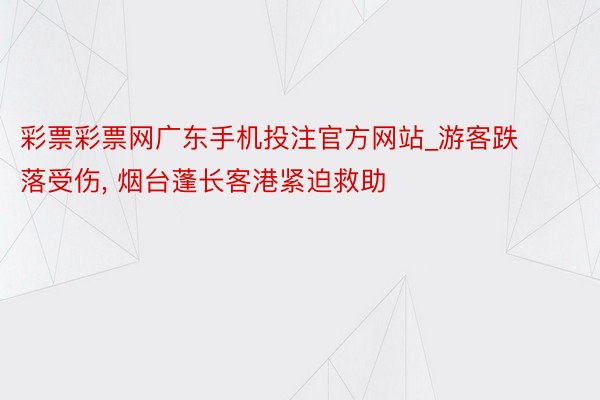 彩票彩票网广东手机投注官方网站_游客跌落受伤, 烟台蓬长客港紧迫救助