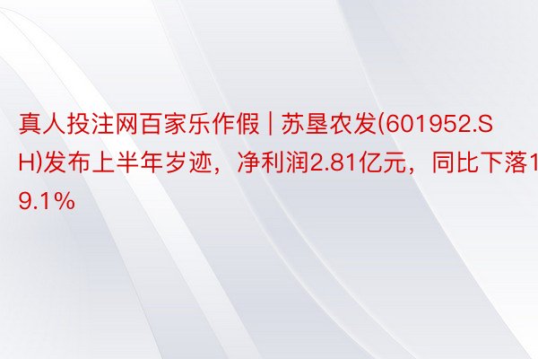 真人投注网百家乐作假 | 苏垦农发(601952.SH)发布上半年岁迹，净利润2.81亿元，同比下落19.1%