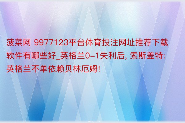 菠菜网 9977123平台体育投注网址推荐下载软件有哪些好_英格兰0-1失利后, 索斯盖特: 英格兰不单依赖贝林厄姆!