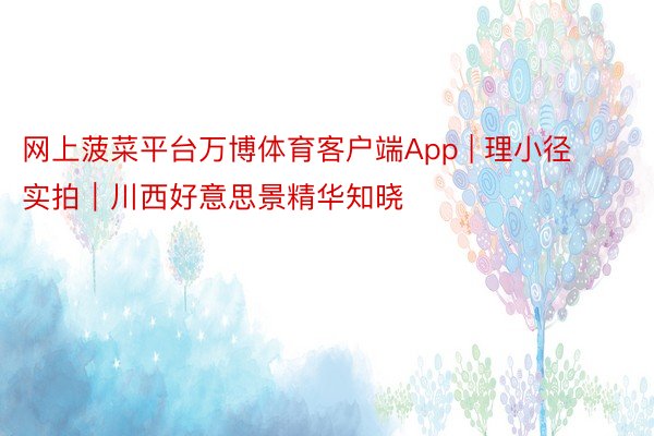 网上菠菜平台万博体育客户端App | 理小径实拍｜川西好意思景精华知晓