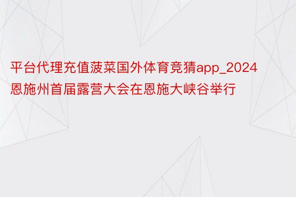 平台代理充值菠菜国外体育竞猜app_2024恩施州首届露营大会在恩施大峡谷举行